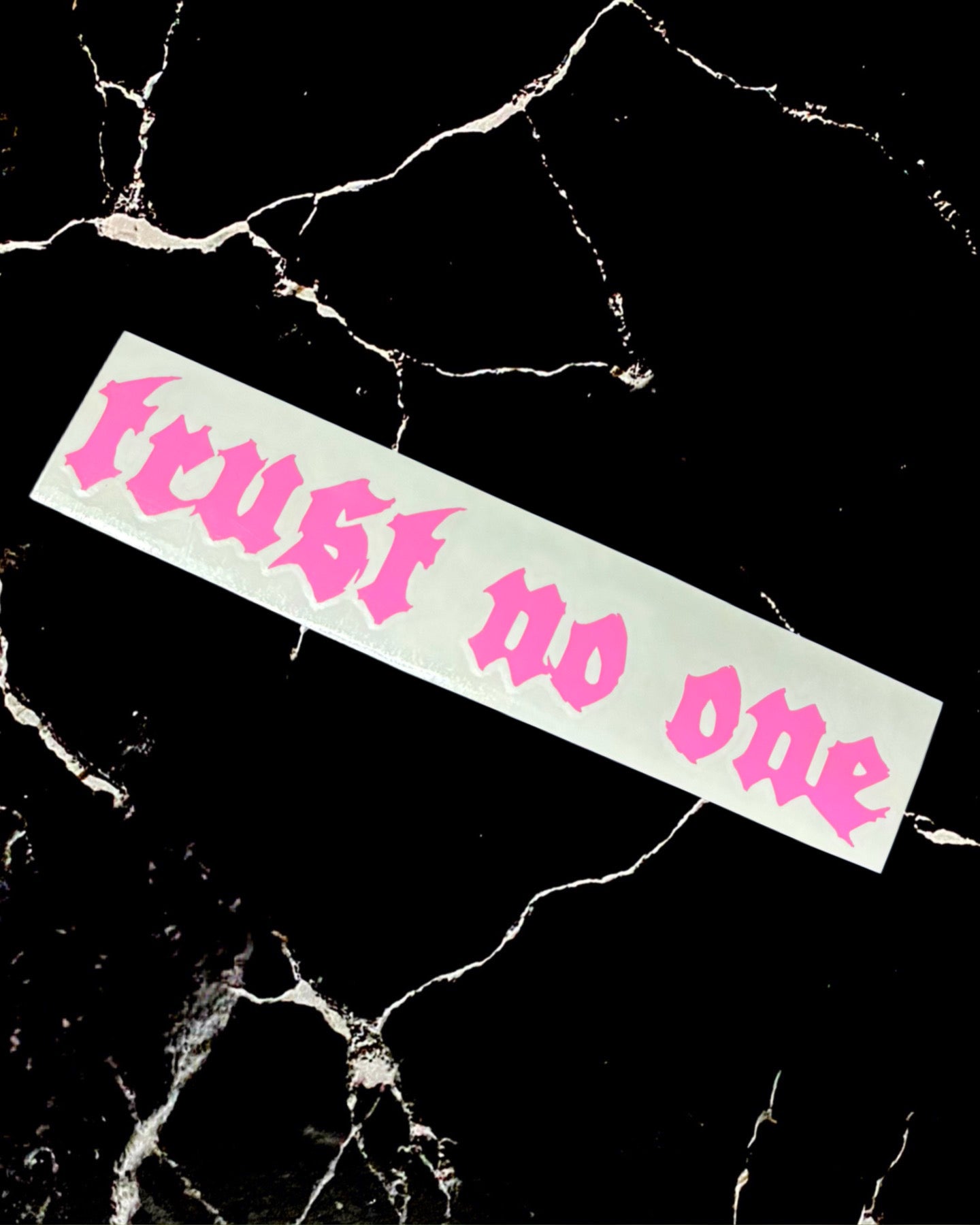 Trust No One Decal