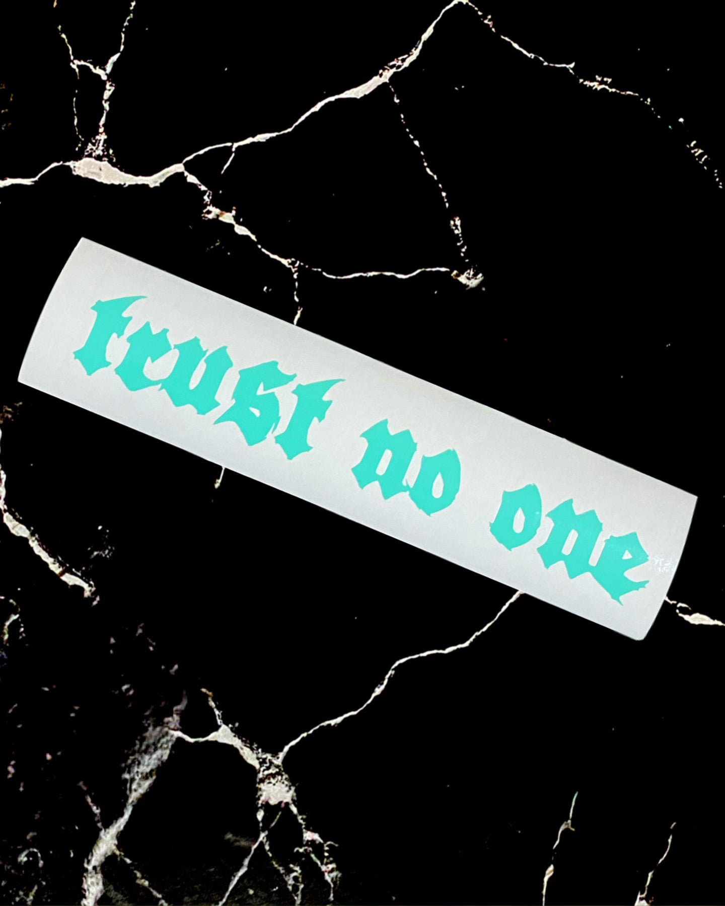 Trust No One Decal